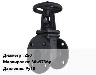 Задвижка чугунная 250 30ч973бр Ру10